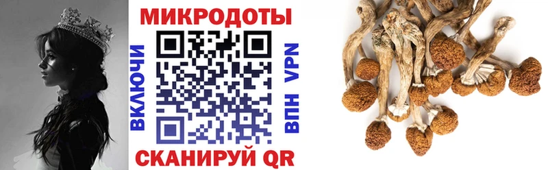 Галлюциногенные грибы ЛСД  Сурск 